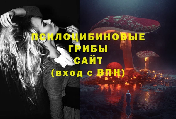 ALPHA PVP Баксан