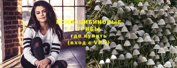 дживик Арсеньев